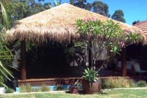 bali-roof-grass-supplier