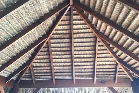 thatched roof hut