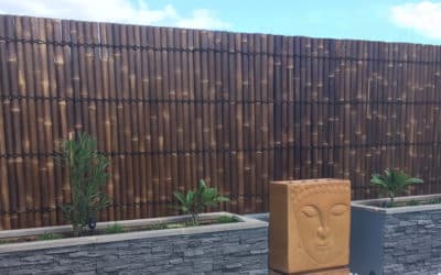 Bamboo Fencing